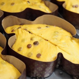 Colomba 3Cioccolati 750g