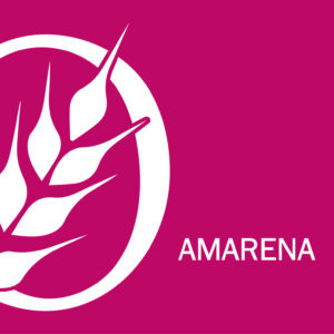 Colomba amarena