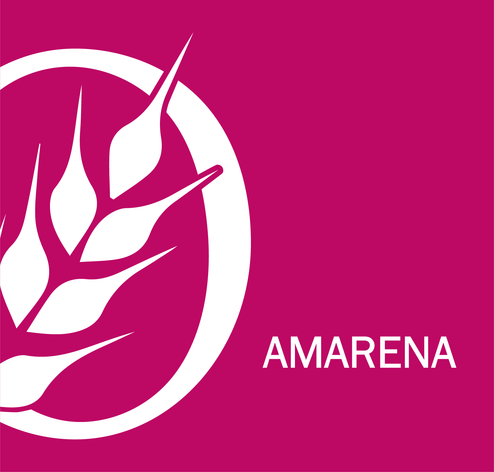Colomba amarena